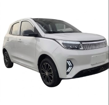 Auto Mini Electric Vehicle